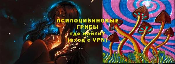 винт Осинники