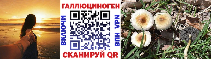 Галлюциногенные грибы ЛСД  Ясногорск 